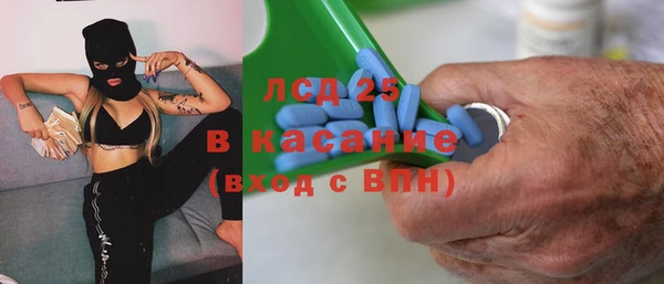 прущие грибы Беломорск