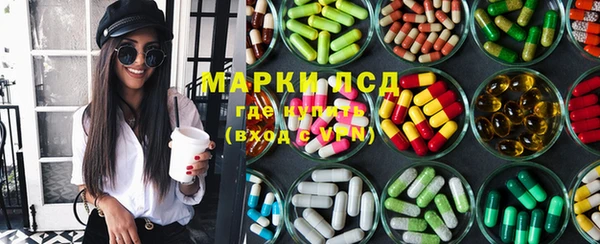 прущие грибы Беломорск