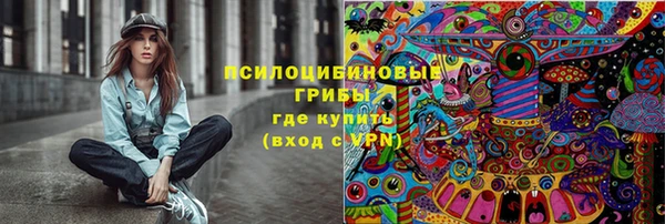 apvp Белокуриха