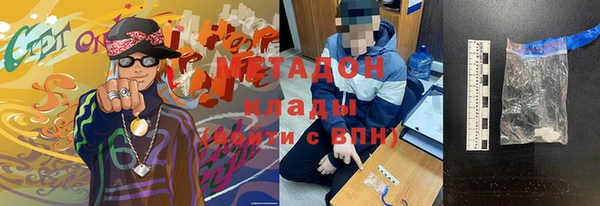 прущие грибы Беломорск