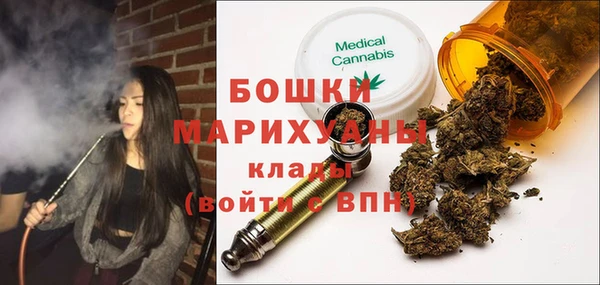 прущие грибы Беломорск