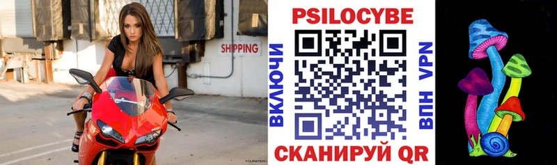 Псилоцибиновые грибы Psilocybine cubensis mega ТОР Свободный купить наркоту